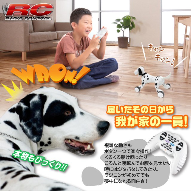 饸 ڥå ˥ޥȥ  ᥷  ܥ󥢥 ץൡǽ smart-dog (OA-4100)