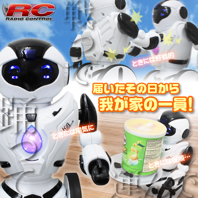 �饸���� ���ܥåȥȥ� �ͷ� 6�����㥤�� ���� ���� ���������㡼����ȥ����� ���� �ܥ����� �ֳ�����⥳���KiB Robot�� (OA-4170)