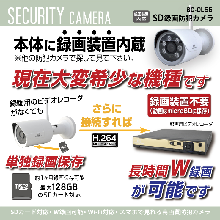 
オンロード(OnLord) SDカード防犯カメラ 録画装置内蔵 USB接続 屋外 赤外線暗視カメラ ハウジング型 OL-028