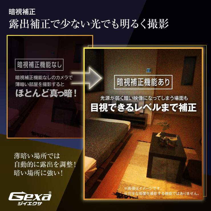 Gexa(ジイエクサ) モニター付クリップビデオカメラ GX-112