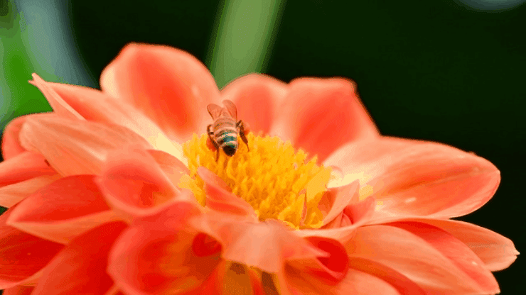 USBケーブルレンズ UT-130