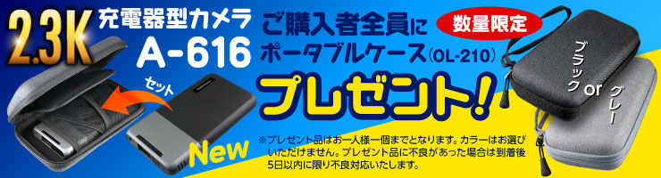 スパイダーズX 小型カメラ 充電器型カメラ 防犯カメラ 2.3K レンズカバースイッチ 256GB対応 スパイカメラ A-616