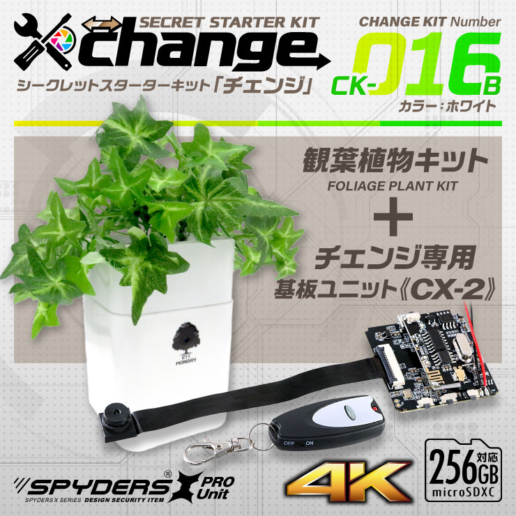 
スパイダーズX change 小型カメラ 観葉植物 ホワイト シークレットキット 防犯カメラ 4K スパイカメラ CK-016B