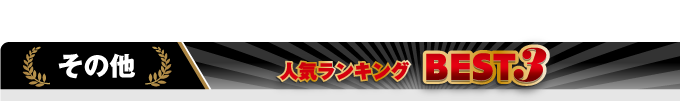 その他カモフラージュカメラ一覧