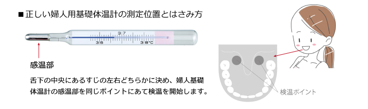 婦人用基礎体温計 ix-201W｜正しい測定位置